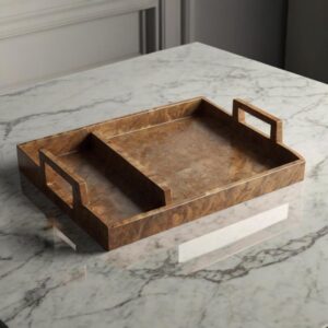 Tray Organizer