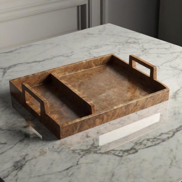 Tray Organizer